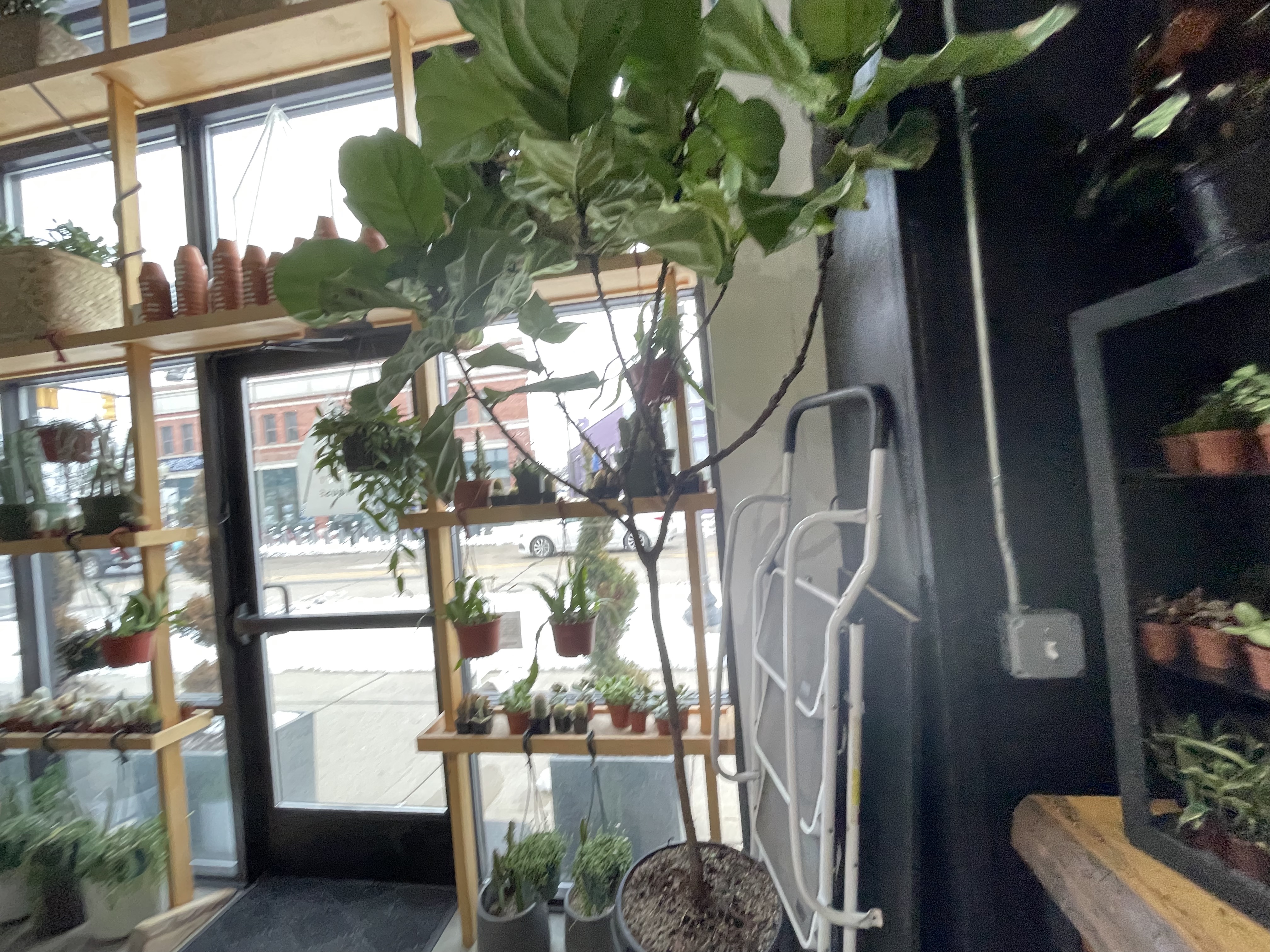 The Plant House
