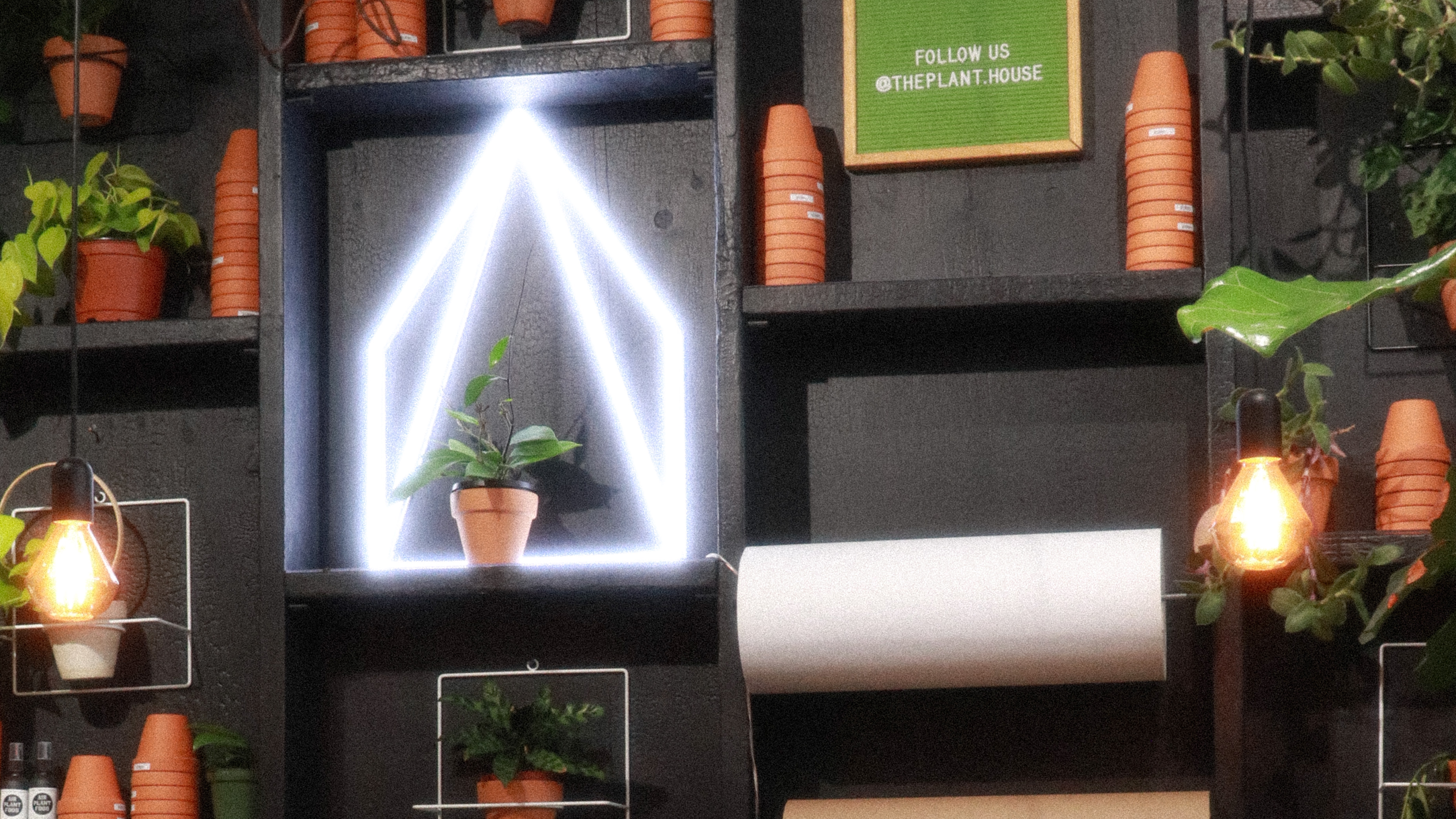 The Plant House photo 2