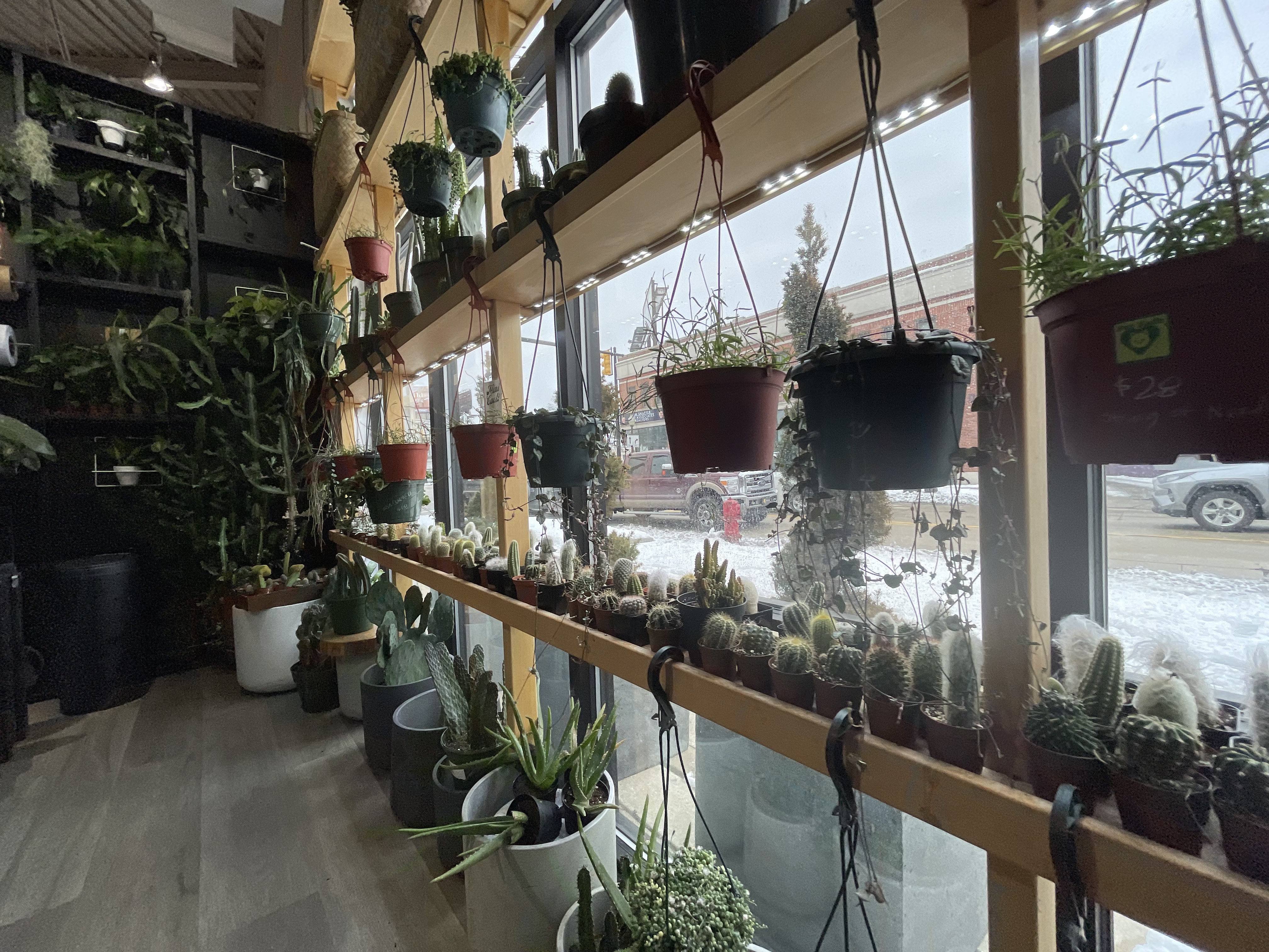 The Plant House photo 3