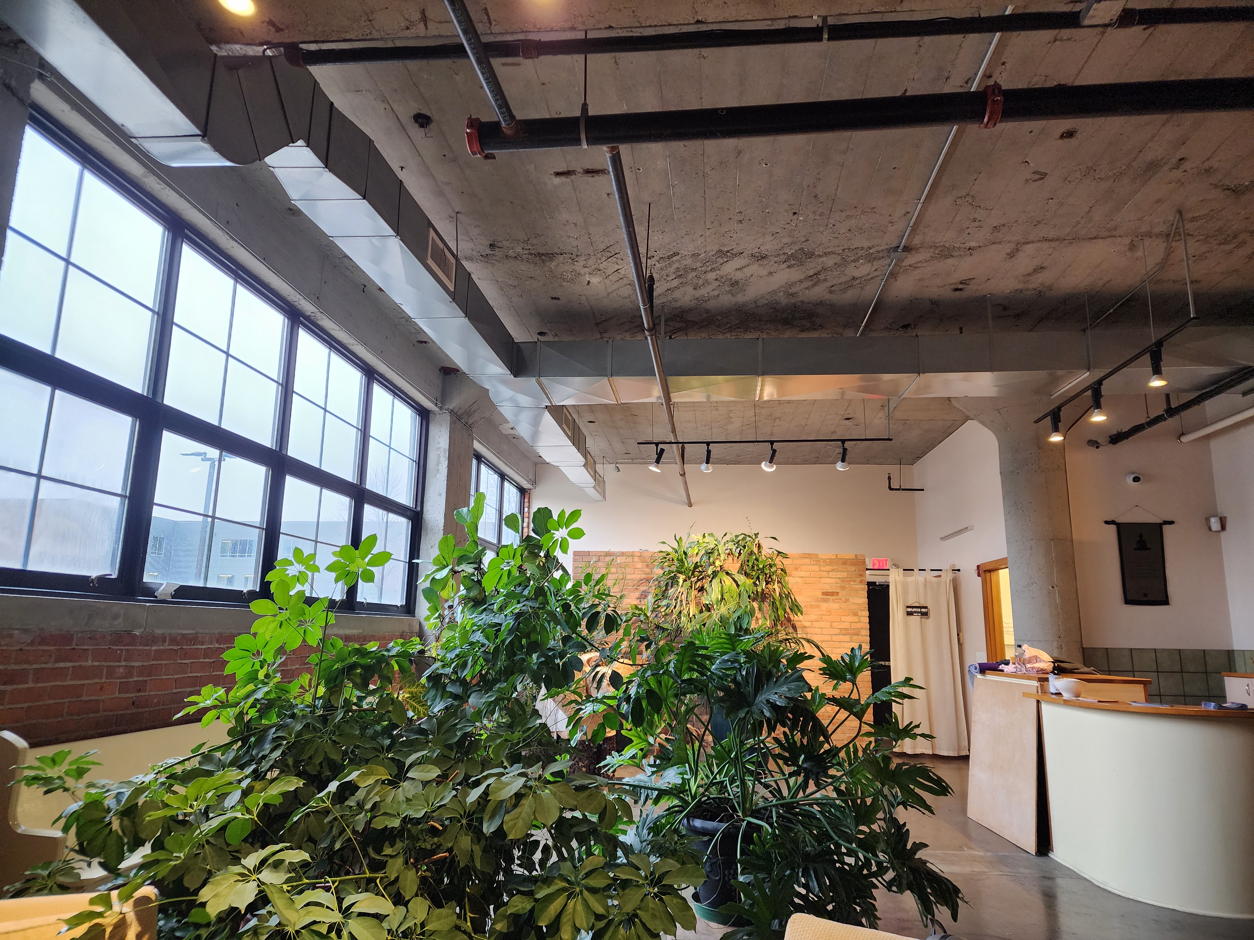 Midtown Yoga Wellness Center photo 2