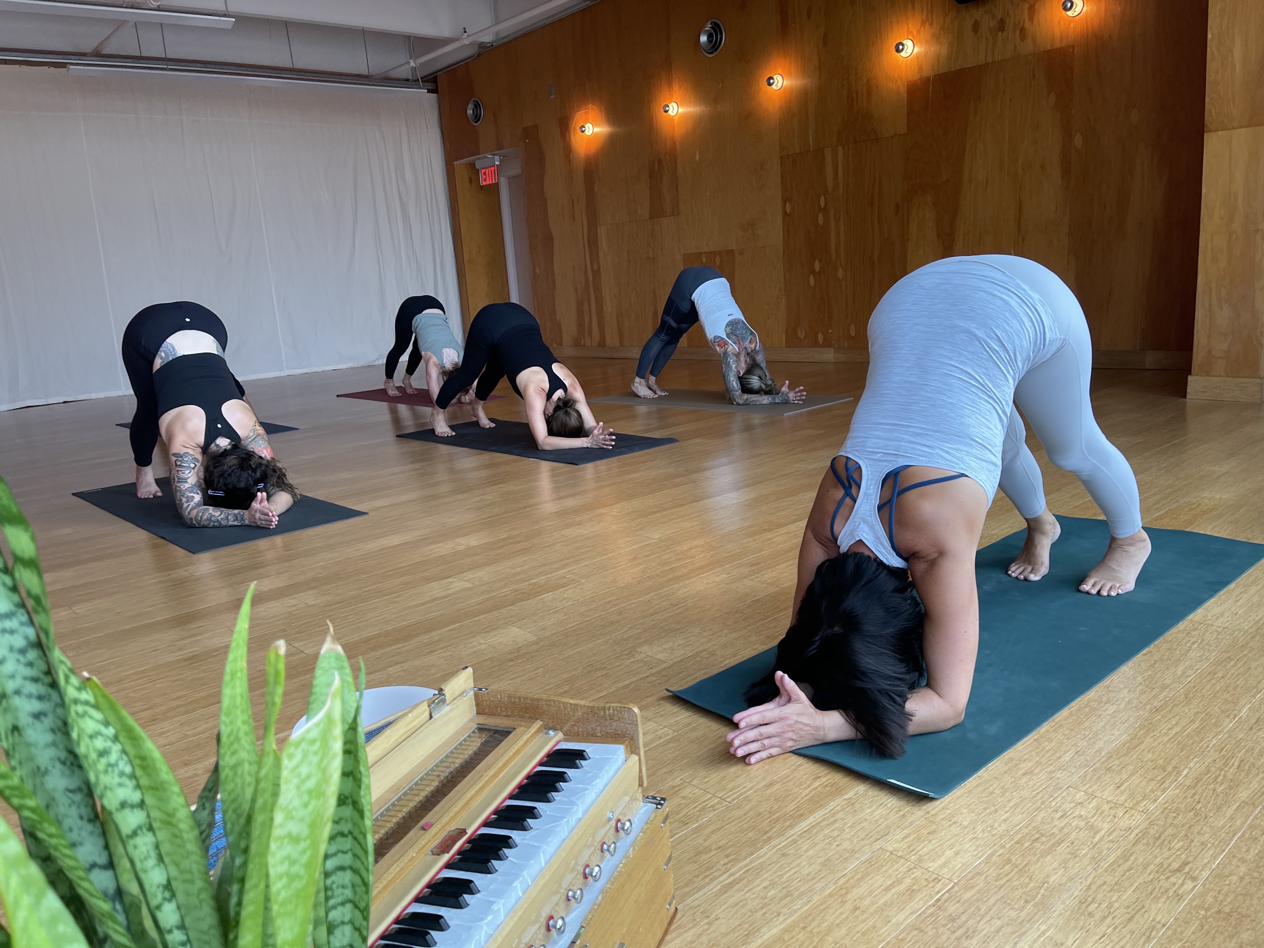 Detroit Yoga Lab photo 3