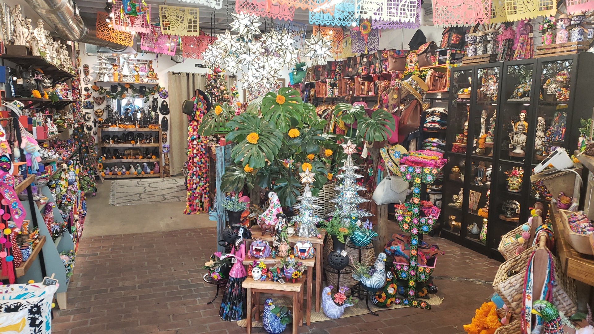 Viva La Vida Imports photo 2
