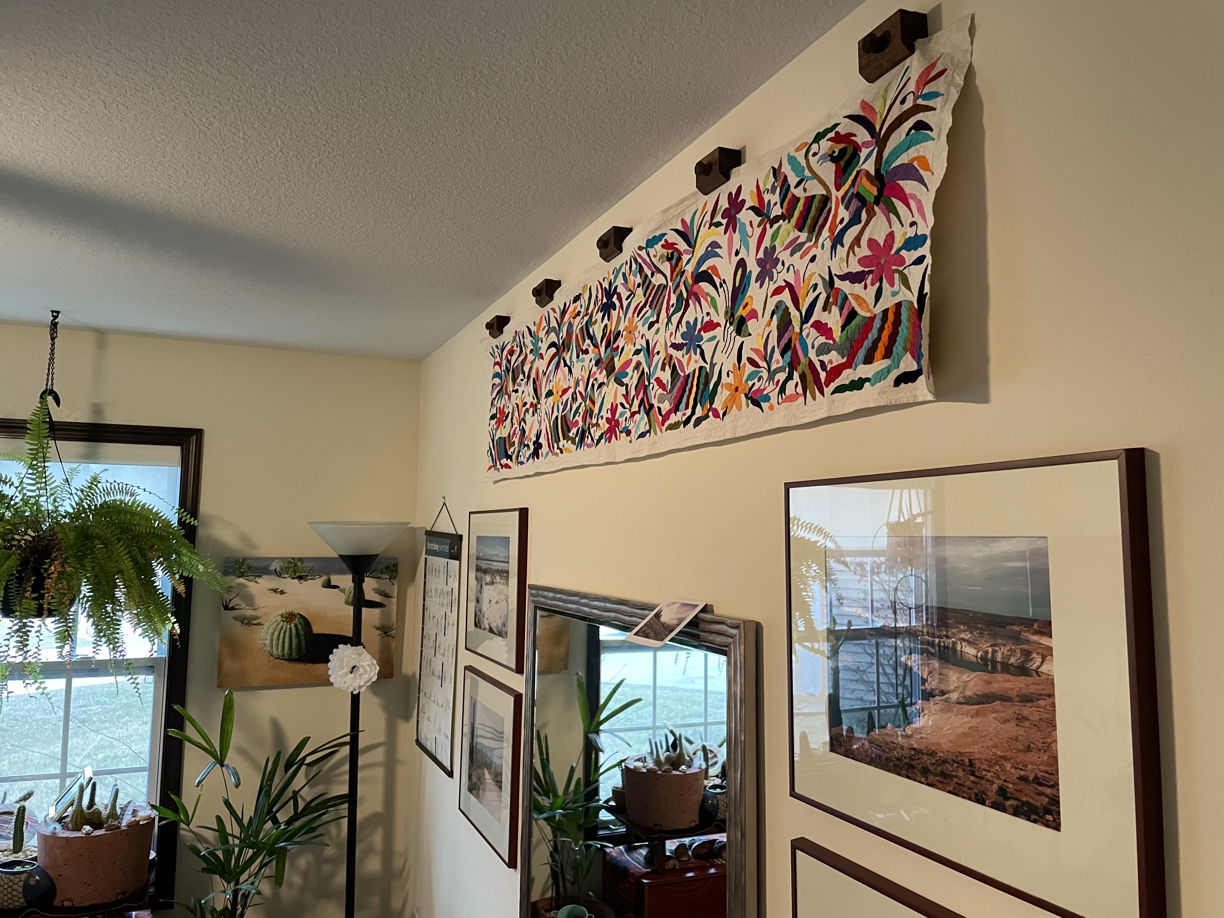 Viva La Vida Imports photo 3