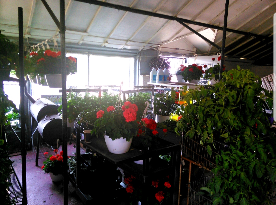 Planet Earth's Greenhouse
