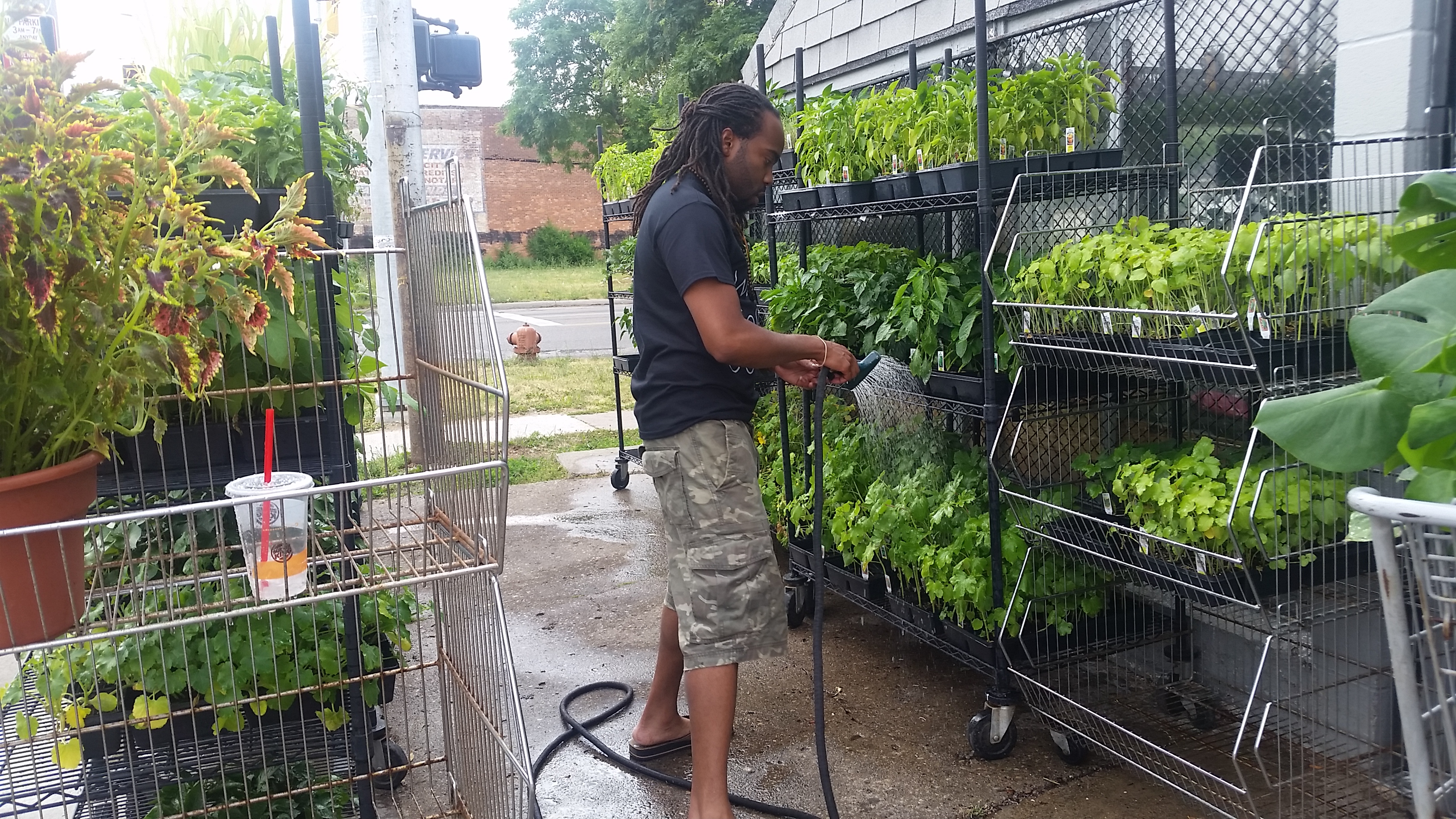 Planet Earth's Greenhouse photo 4