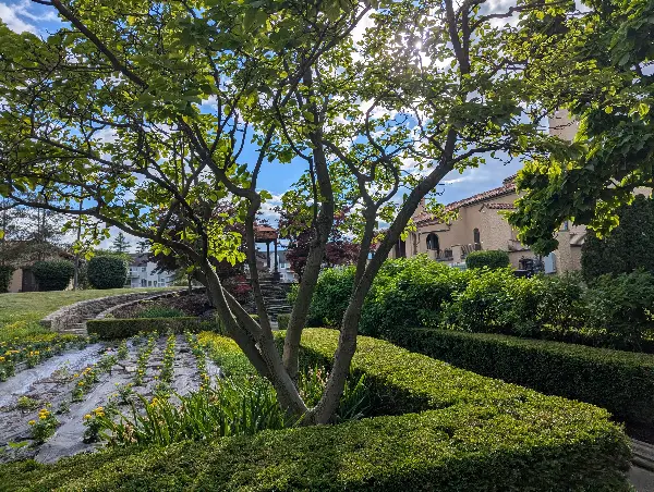 Yoga at the Mansion