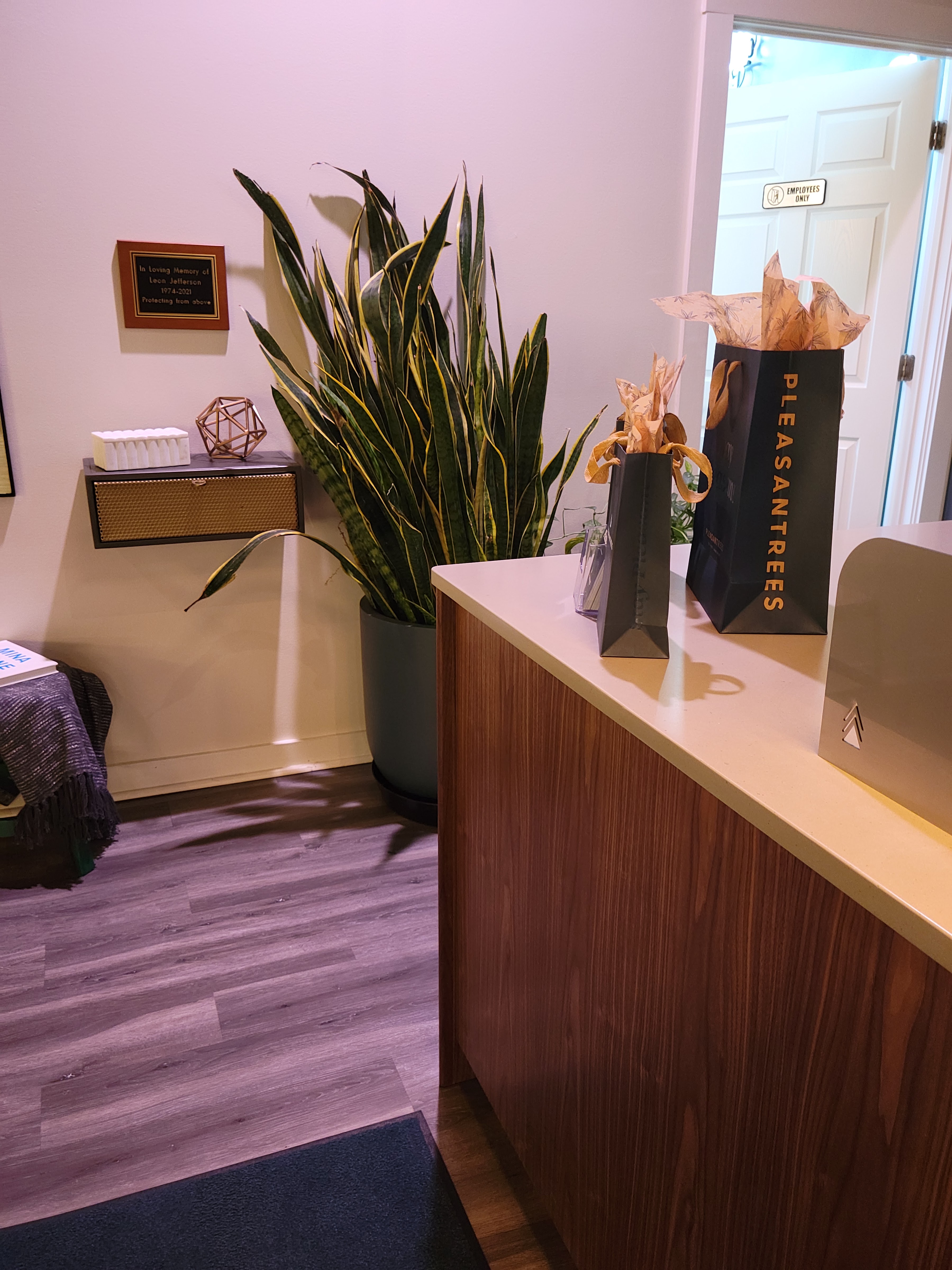 Pleasantrees Cannabis Dispensary Hamtramck photo 4